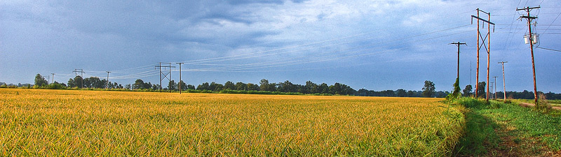 panoramic of Mississippi delta
